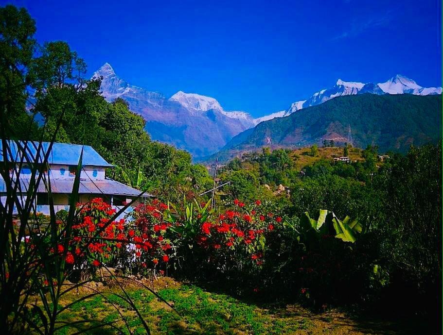 Aroma Tourist Hostel Pokhara Zewnętrze zdjęcie