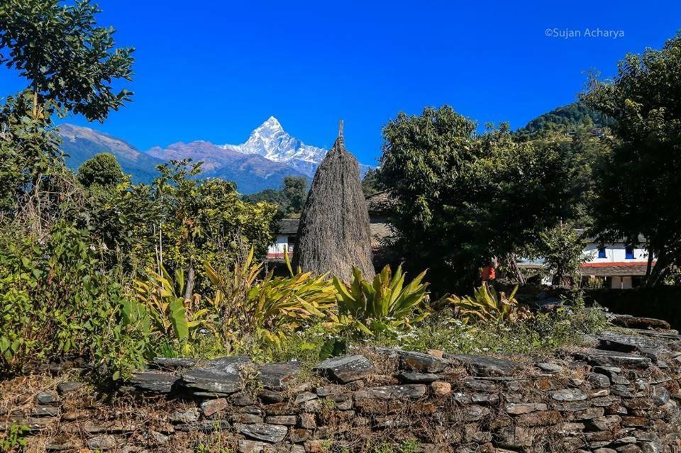 Aroma Tourist Hostel Pokhara Zewnętrze zdjęcie